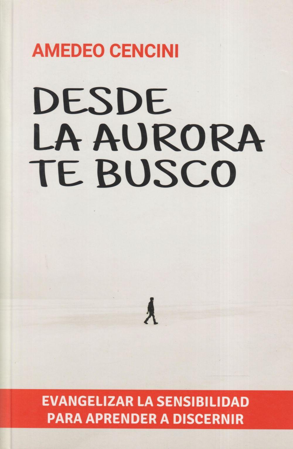 Desde la aurora te busco : evangelizar la sensibilidad para aprender a discernir