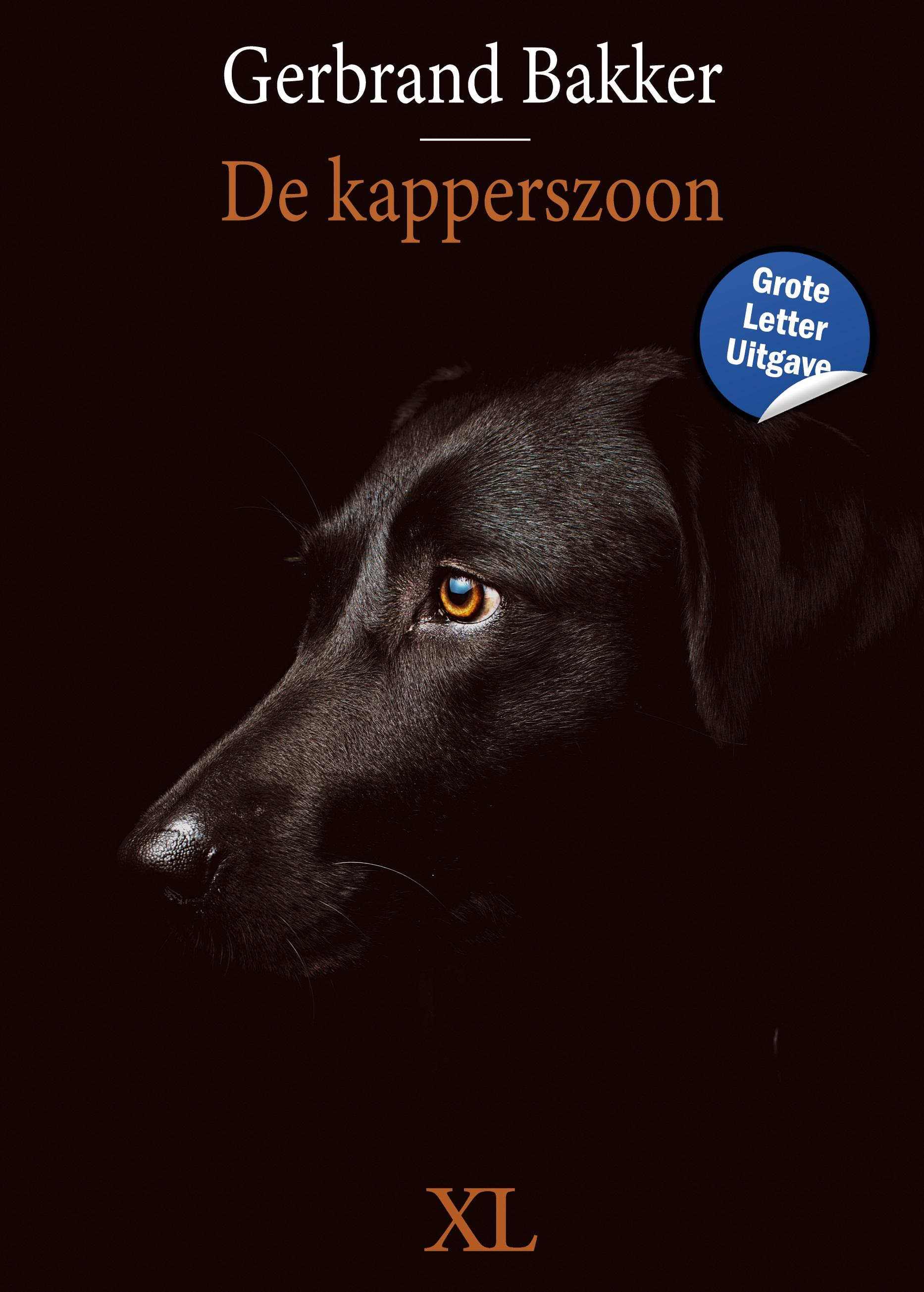 De kapperszoon