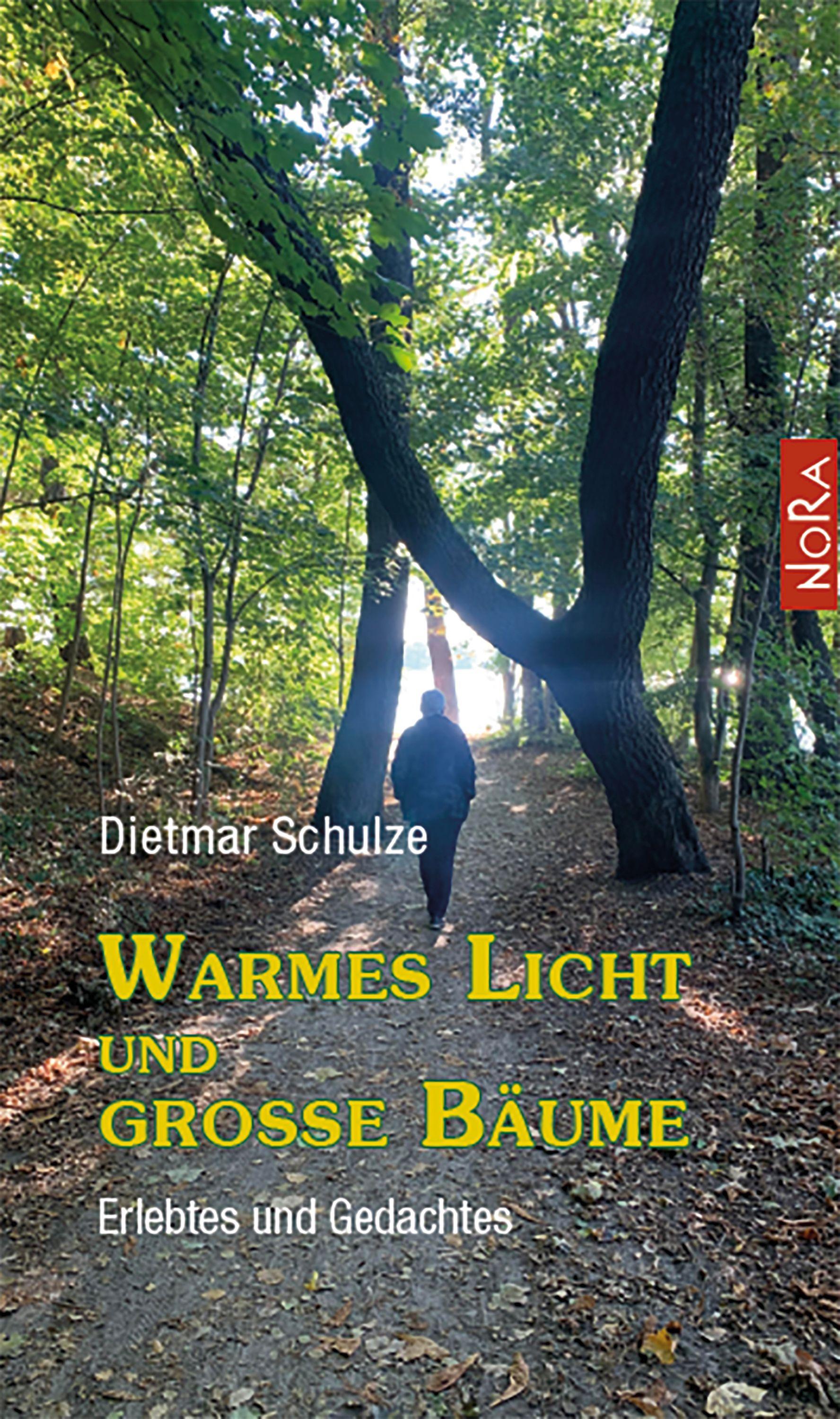 Warmes Licht und große Bäume