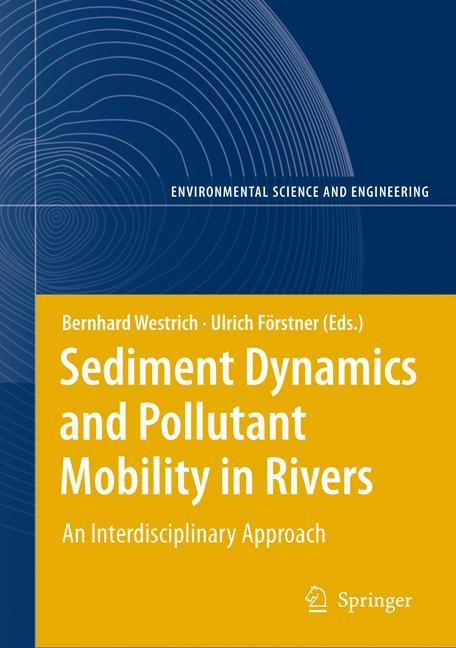 Sediment Dynamics and Pollutant Mobility in Rivers