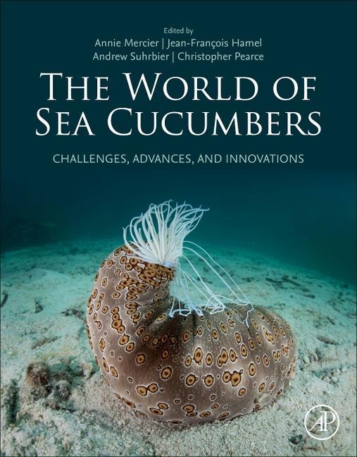 The World of Sea Cucumbers