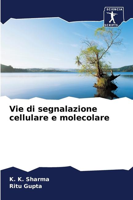 Vie di segnalazione cellulare e molecolare