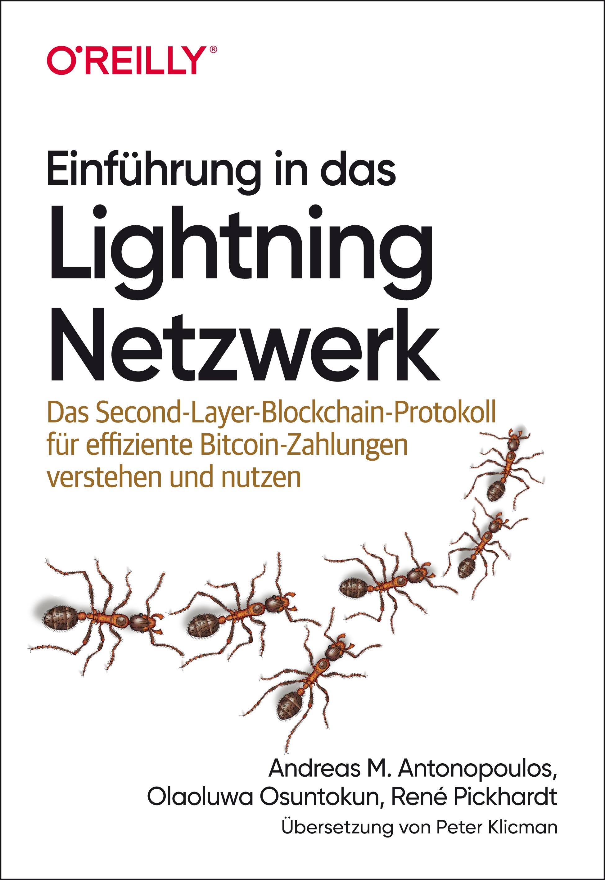 Einführung in das Lightning Netzwerk