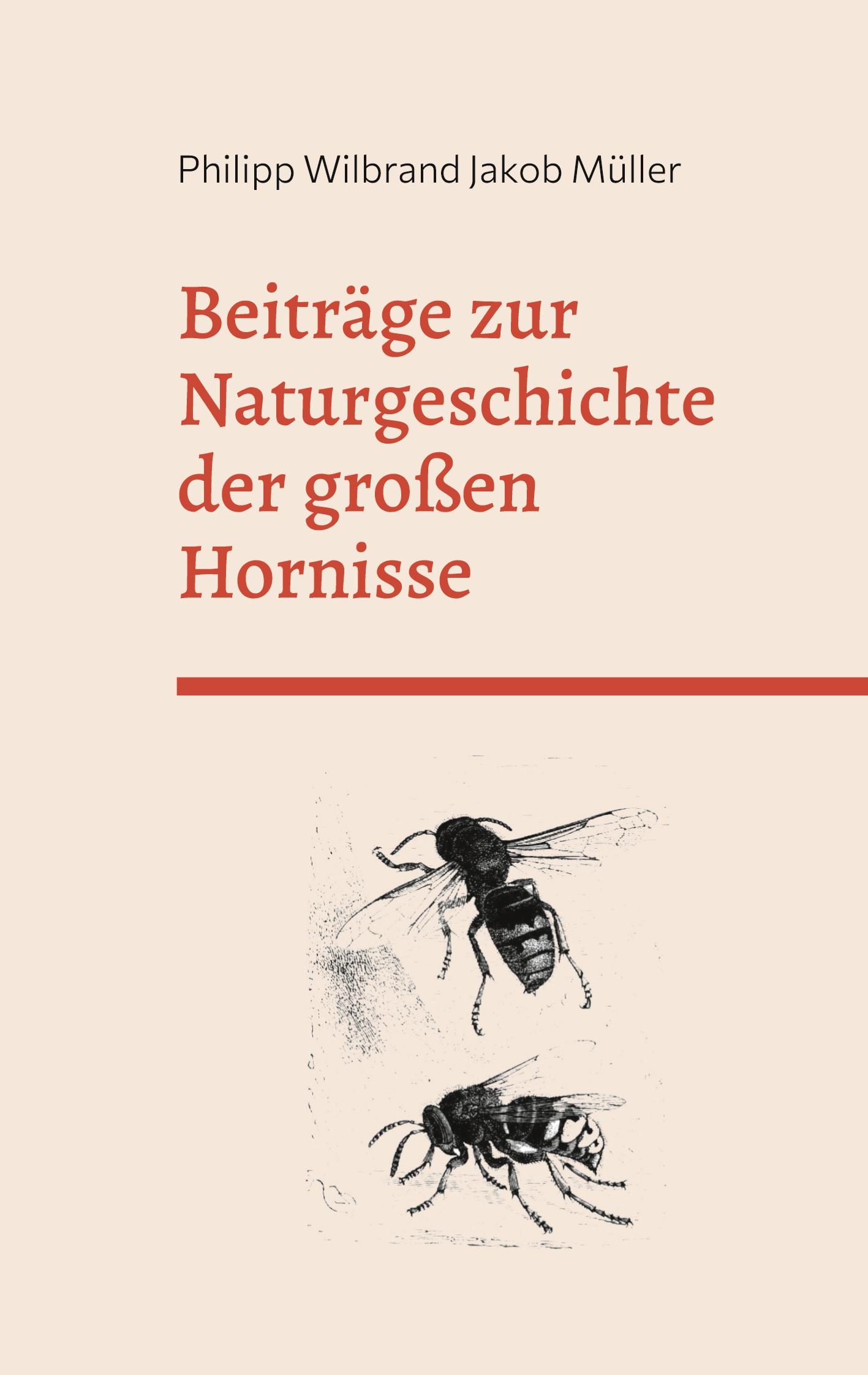 Beiträge zur Naturgeschichte der großen Hornisse