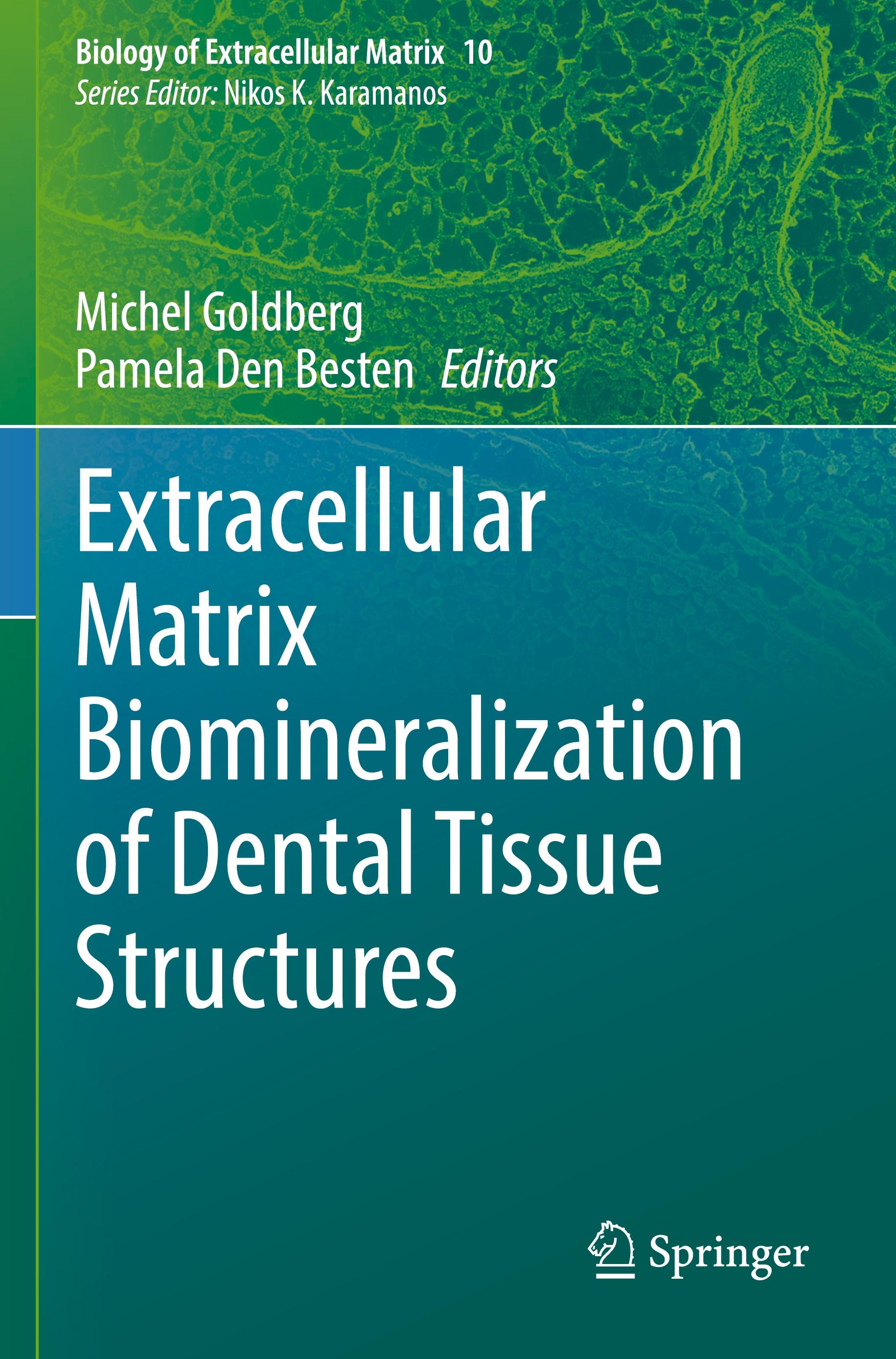 Extracellular Matrix Biomineralization of Dental Tissue Structures