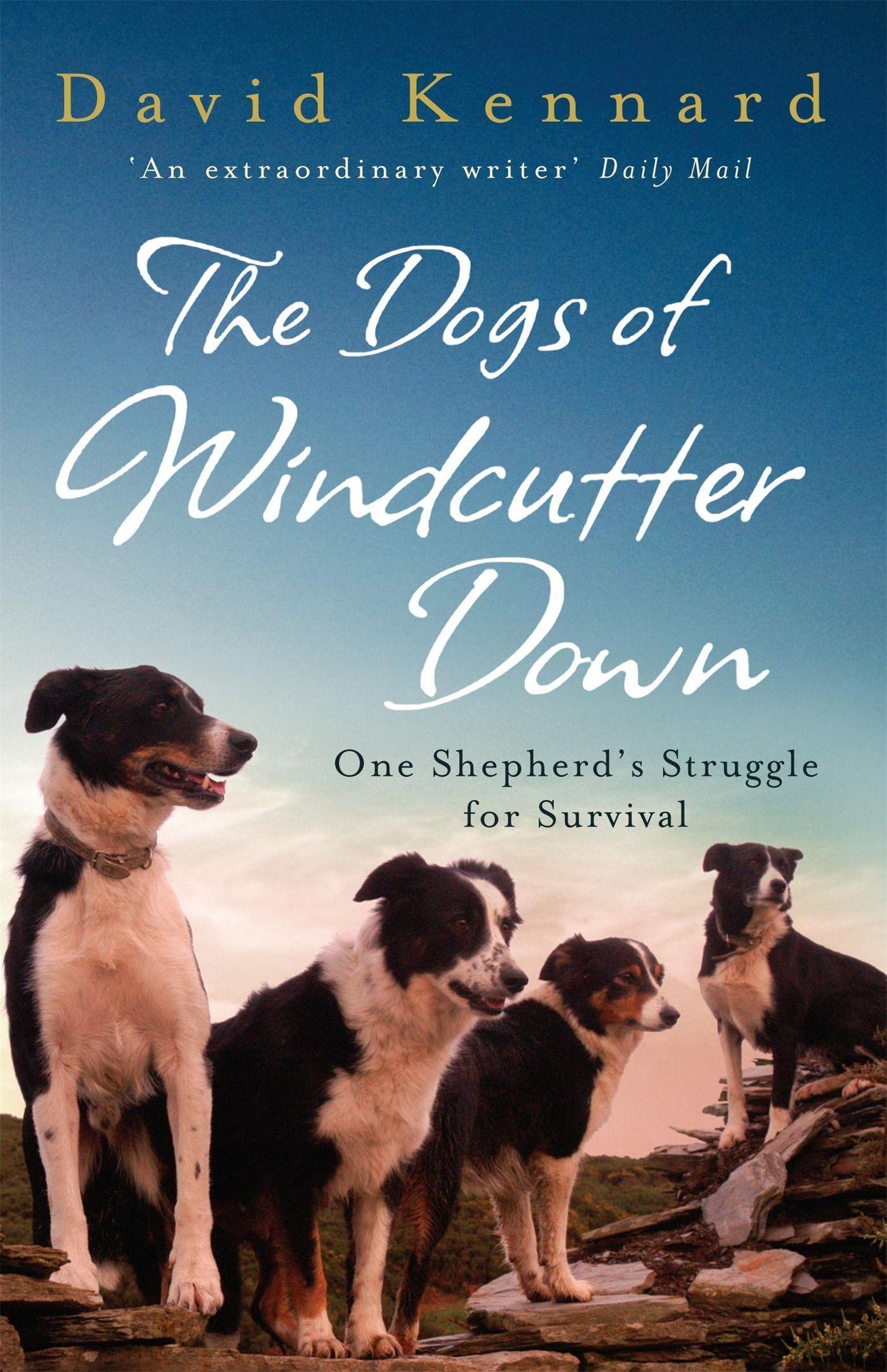 The Dogs of Windcutter Down