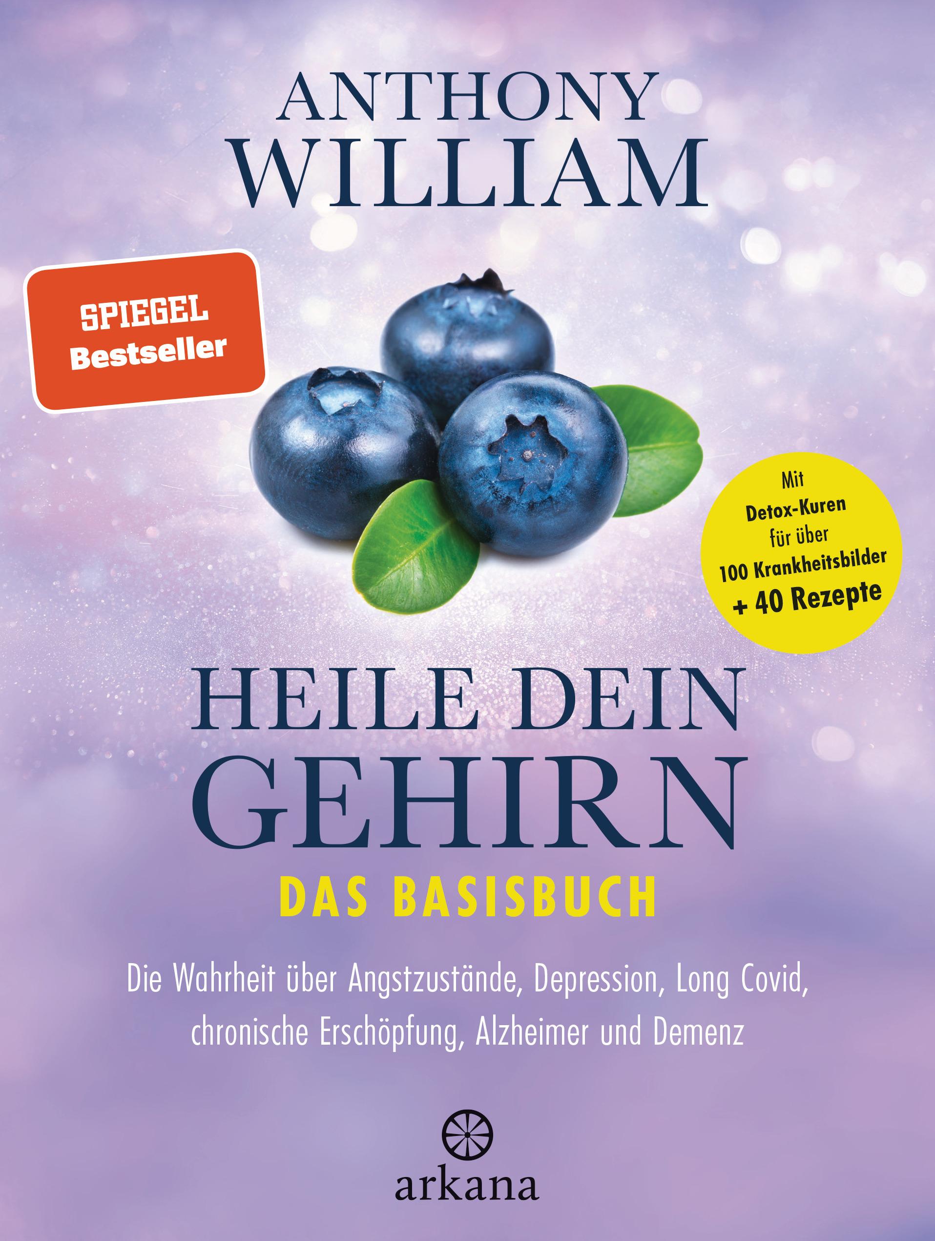 Heile dein Gehirn - Das Basisbuch