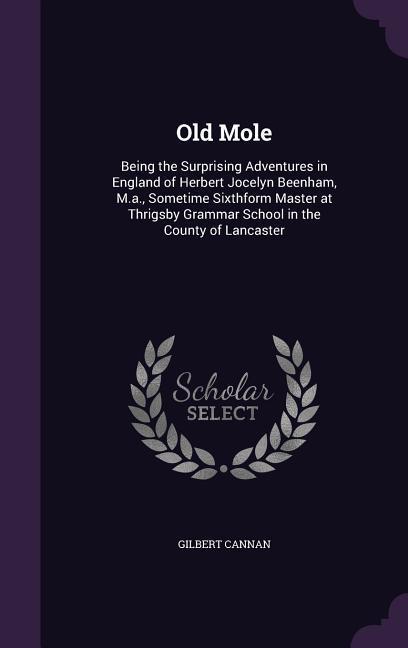 Old Mole: Being the Surprising Adventures in England of Herbert Jocelyn Beenham, M.a., Sometime Sixthform Master at Thrigsby Gra