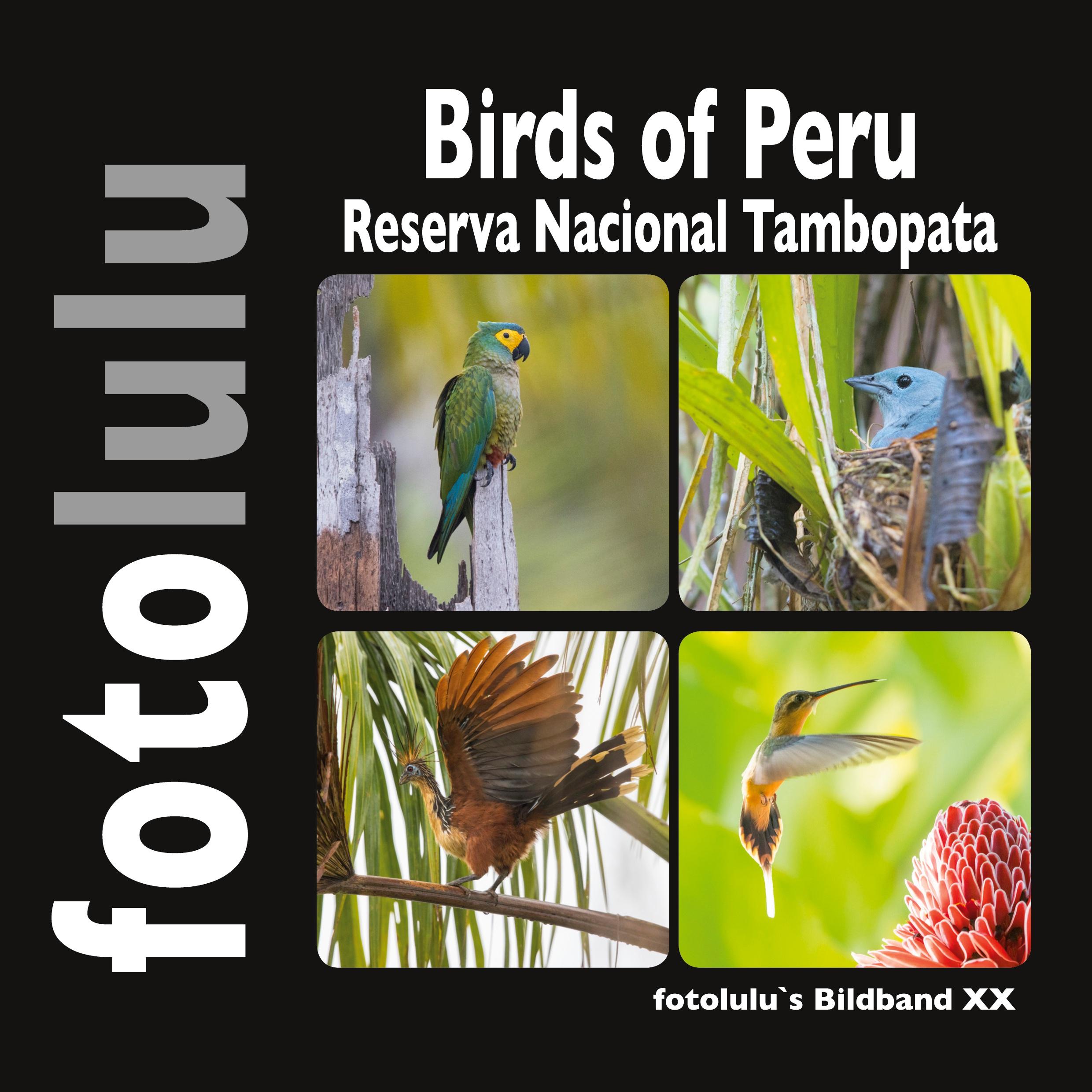 Birds of Peru