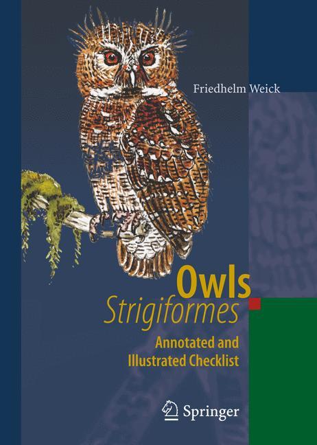 Owls (Strigiformes)