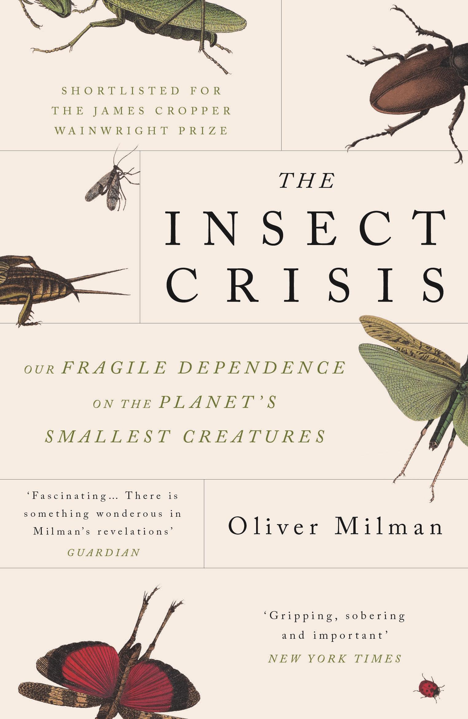 The Insect Crisis