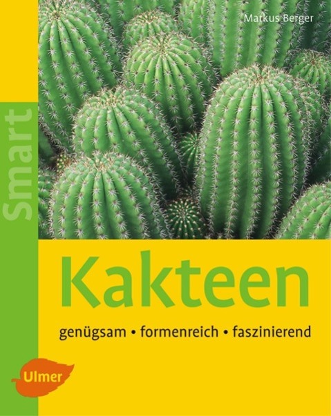 Kakteen