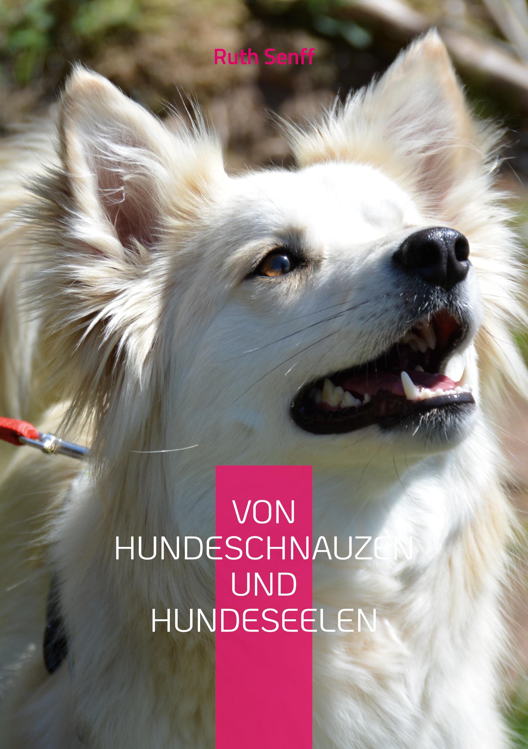 Von Hundeschnauzen und Hundeseelen