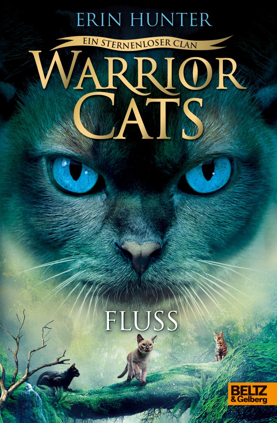 Warrior Cats 8/01. - Ein sternenloser Clan. Fluss