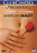 American Beauty