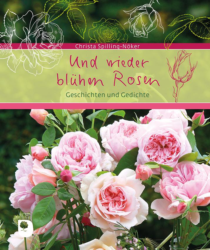 Und wieder blühen Rosen