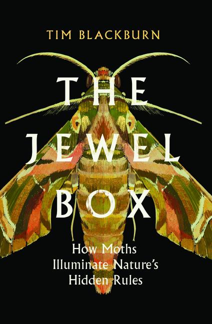 The Jewel Box