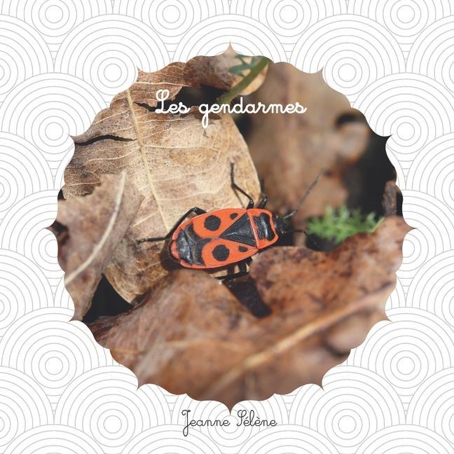 Les gendarmes: Pyrrhocoris apterus documentaire animalier