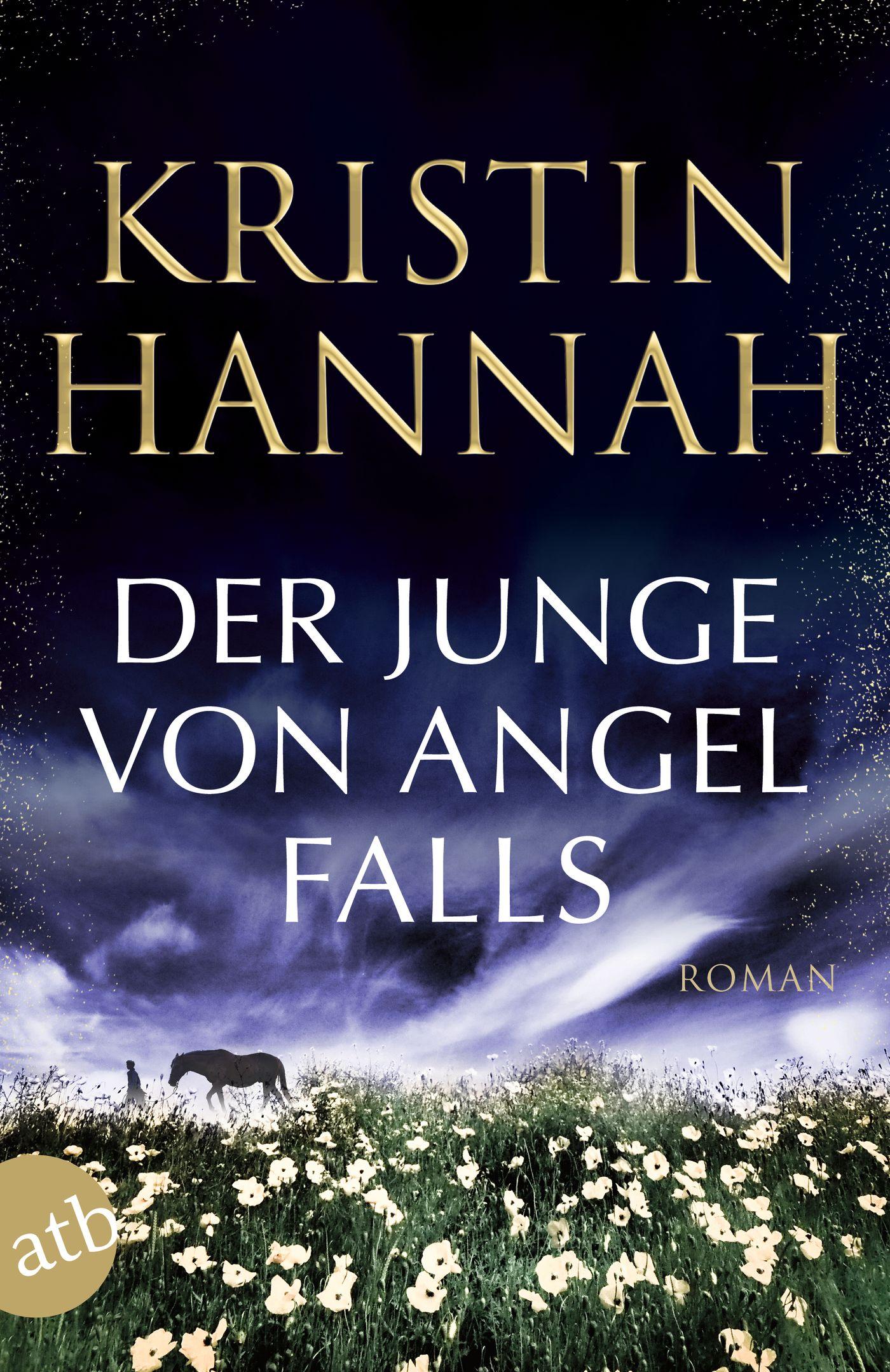 Der Junge von Angel Falls