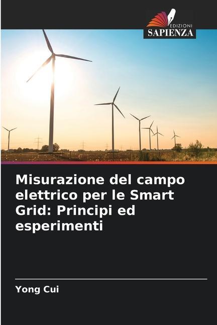 Misurazione del campo elettrico per le Smart Grid: Principi ed esperimenti