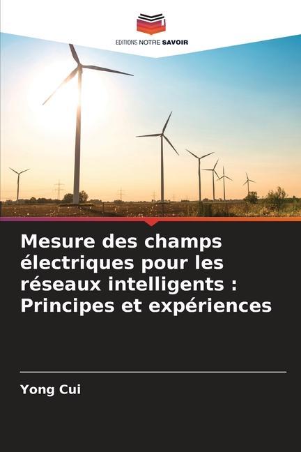 Mesure des champs électriques pour les réseaux intelligents : Principes et expériences