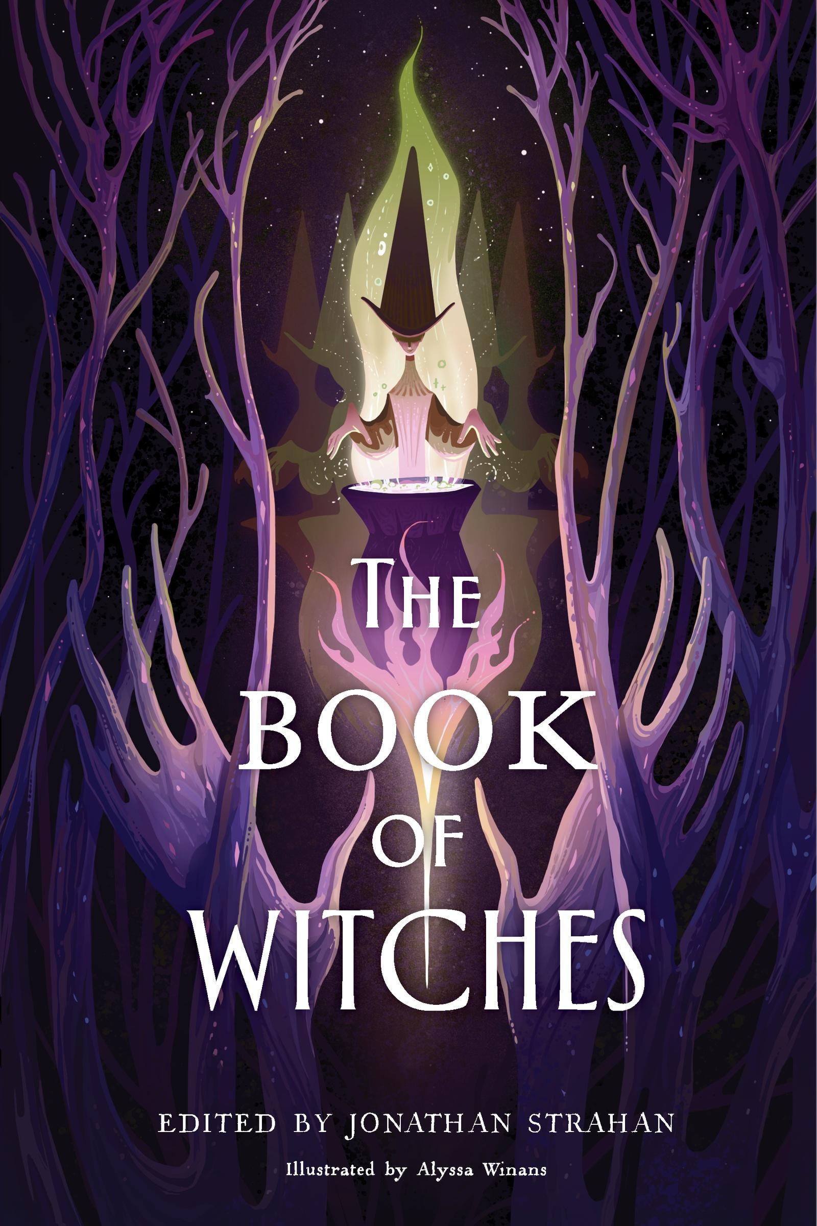 The Book of Witches