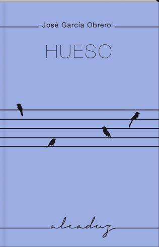 Hueso