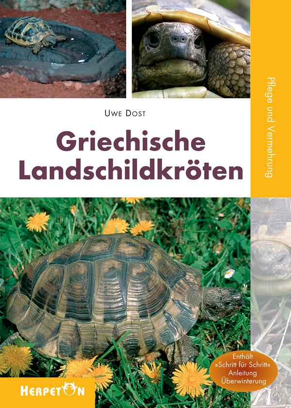 Griechische Landschildkröten