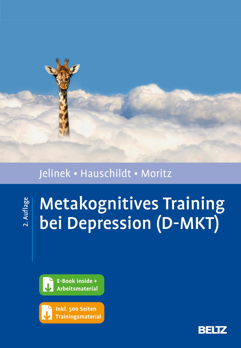 Metakognitives Training bei Depression (D-MKT)