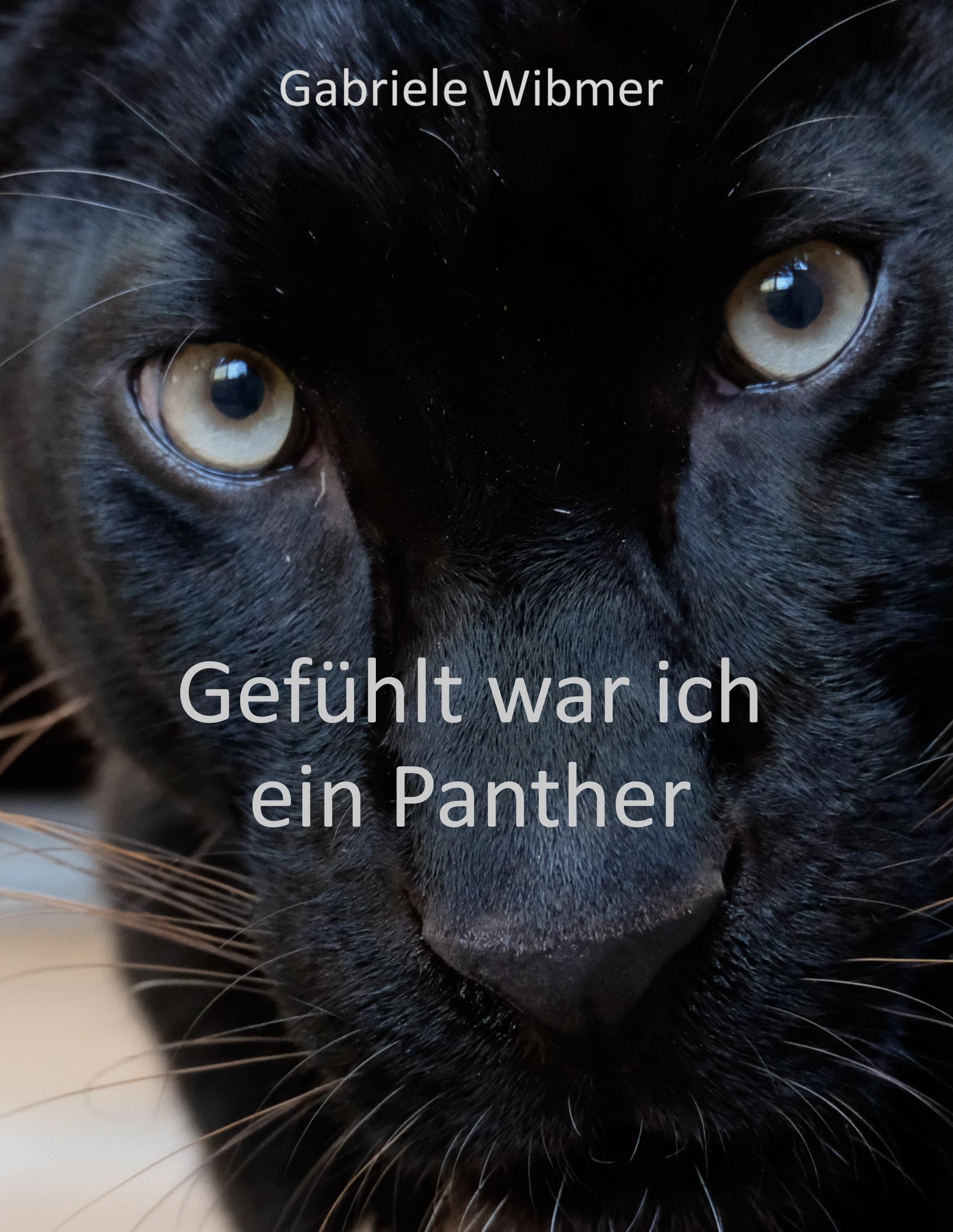 Gefühlt war ich ein Panther