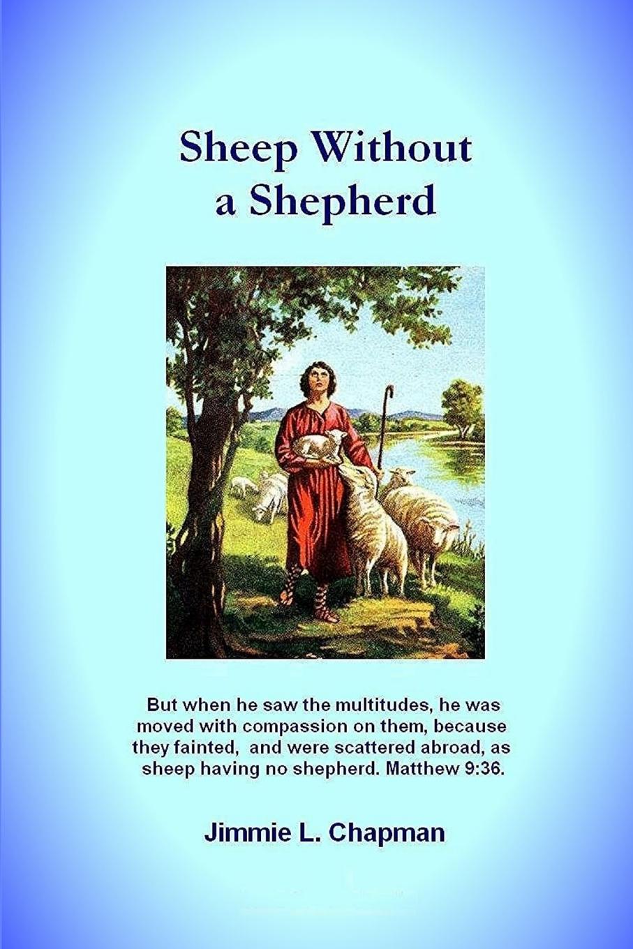 Sheep Without a Shepherd