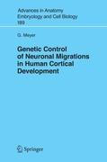 Genetic Control of Neuronal Migrations in Human Cortical Development