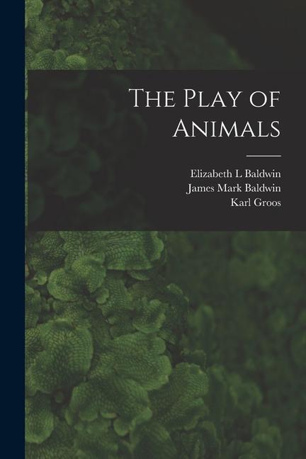 The Play of Animals