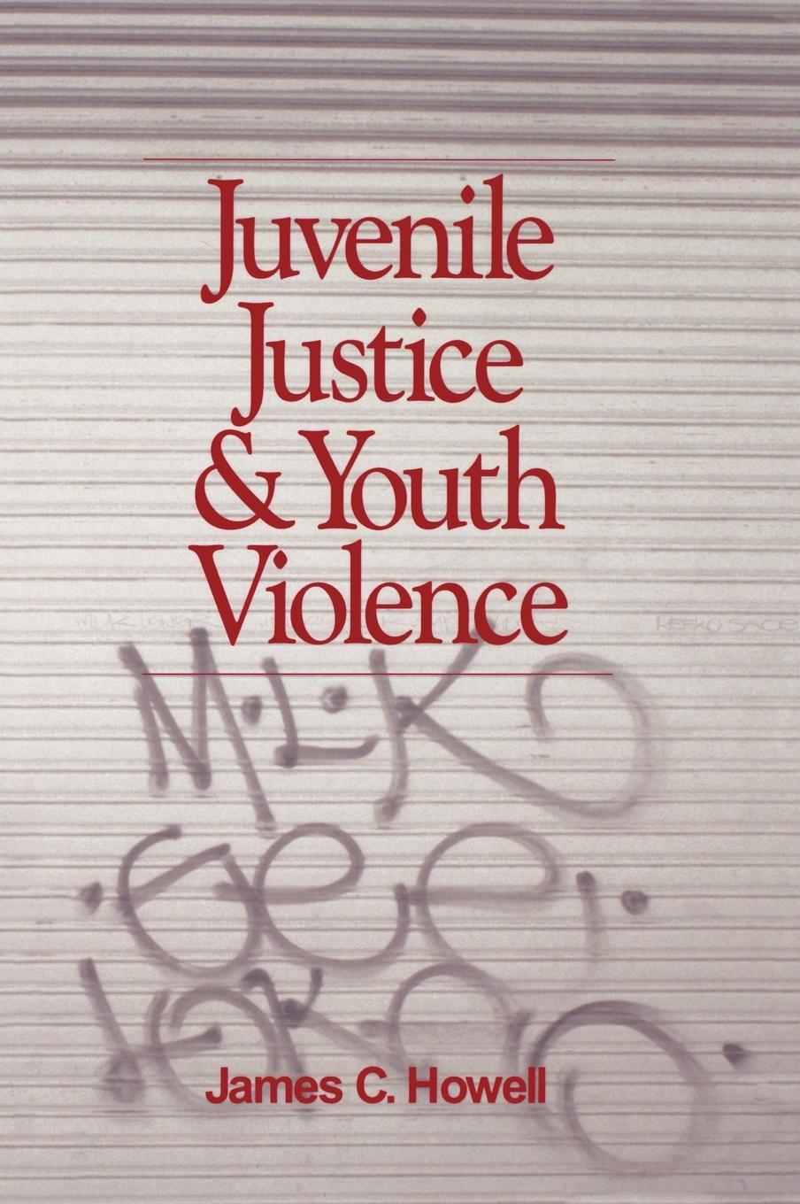 Juvenile Justice and Youth Violence