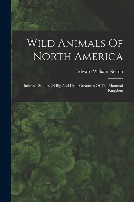 Wild Animals Of North America: Intimate Studies Of Big And Little Creatures Of The Mammal Kingdom