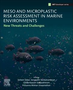 Meso and Microplastic Risk Assessment in Marine Environments