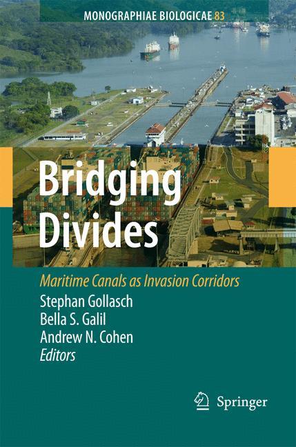 Bridging Divides