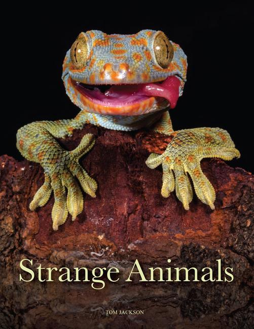 Strange Animals