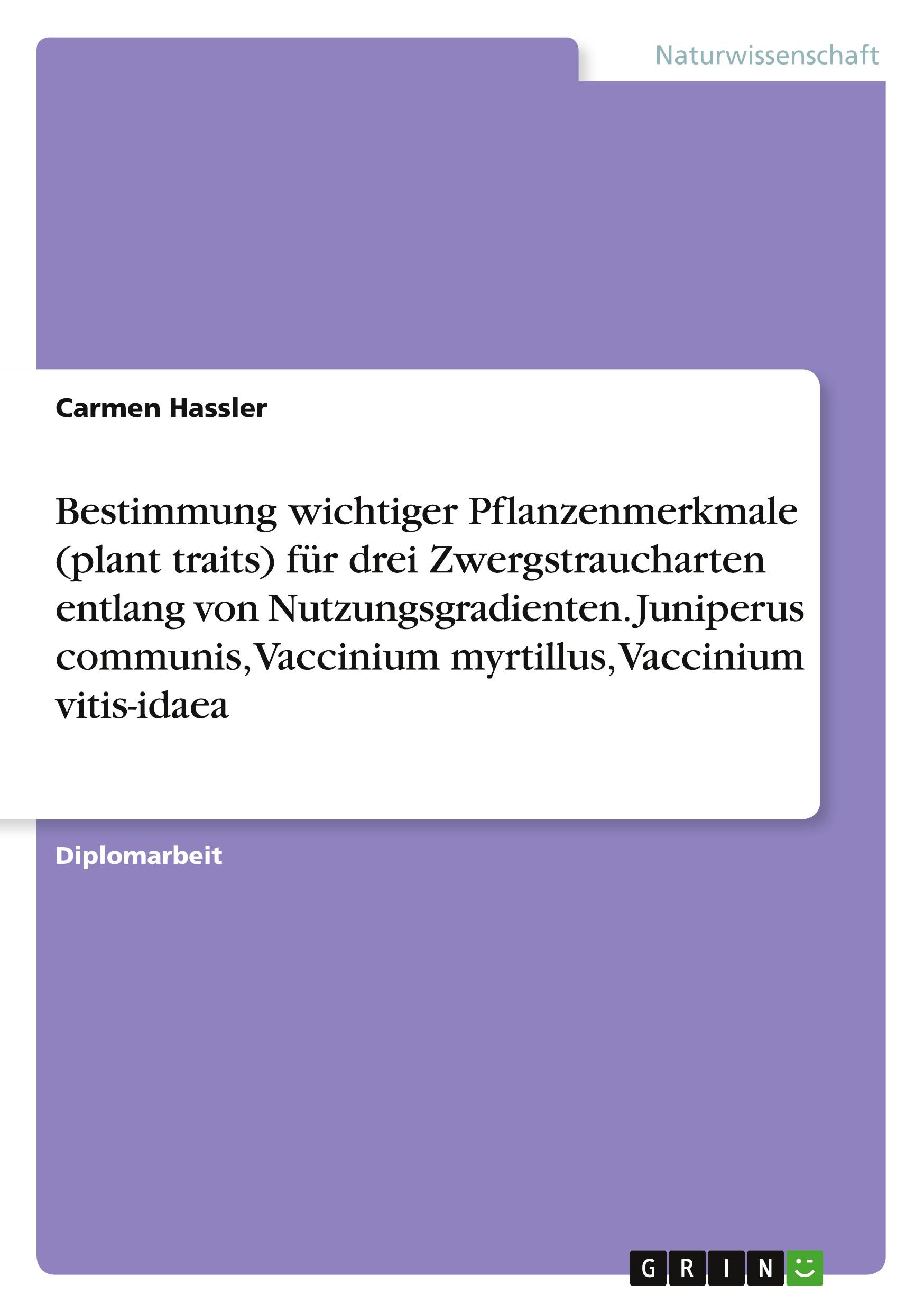 Bestimmung wichtiger Pflanzenmerkmale (plant traits) für drei Zwergstraucharten entlang von Nutzungsgradienten. Juniperus communis, Vaccinium myrtillus, Vaccinium vitis-idaea