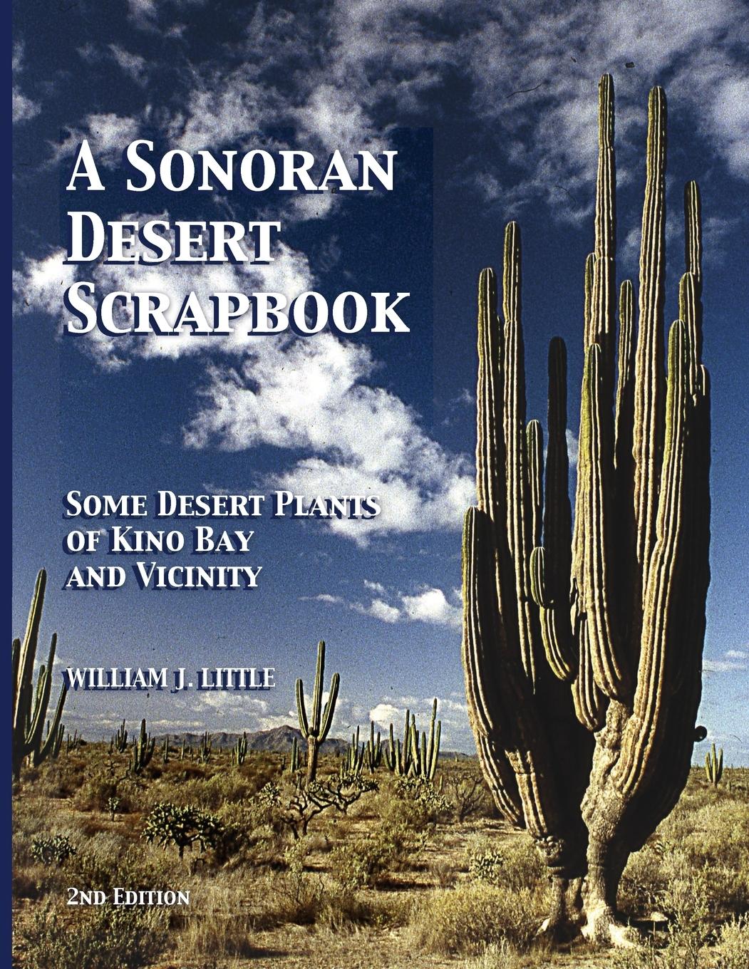 A Sonoran Desert Scrapbook