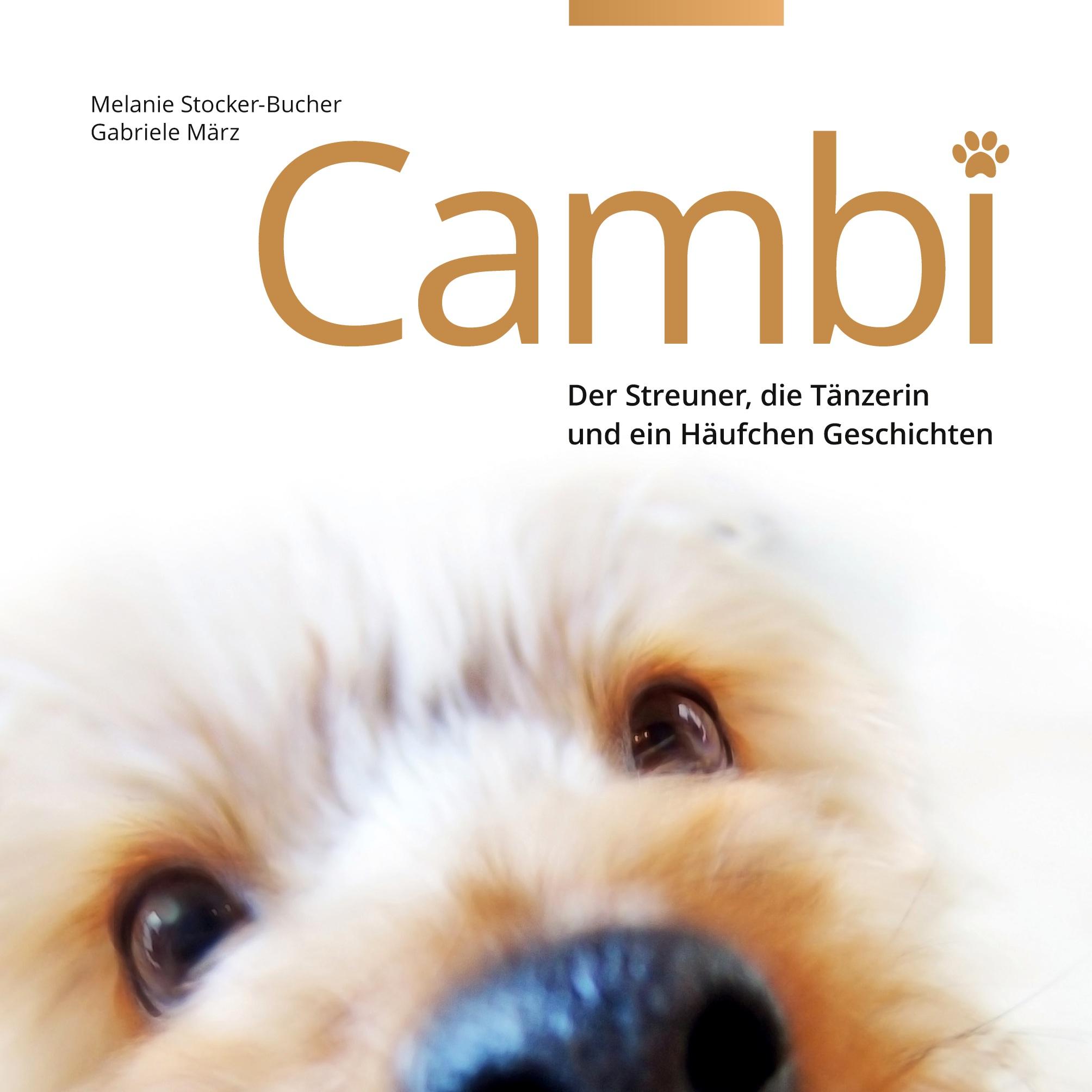 Cambi