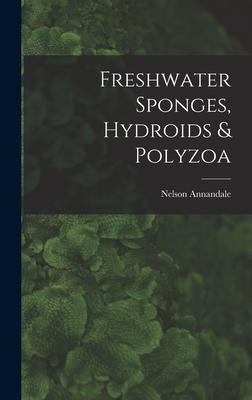 Freshwater Sponges, Hydroids & Polyzoa