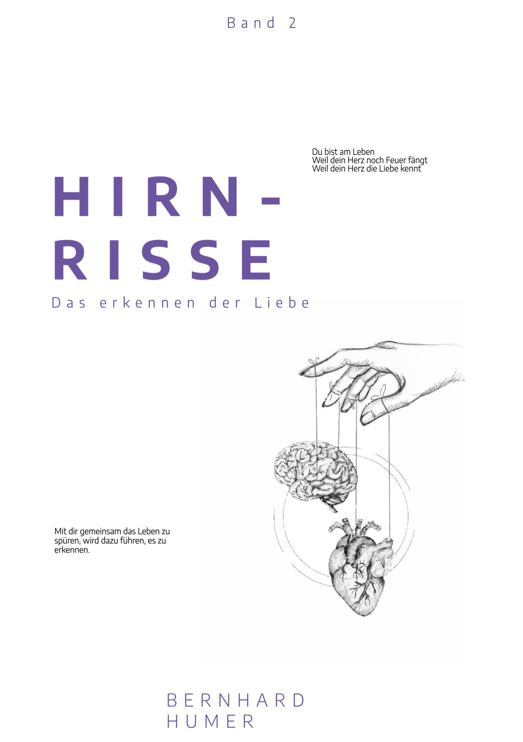 Hirnrisse