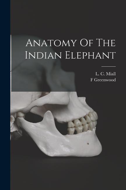 Anatomy Of The Indian Elephant