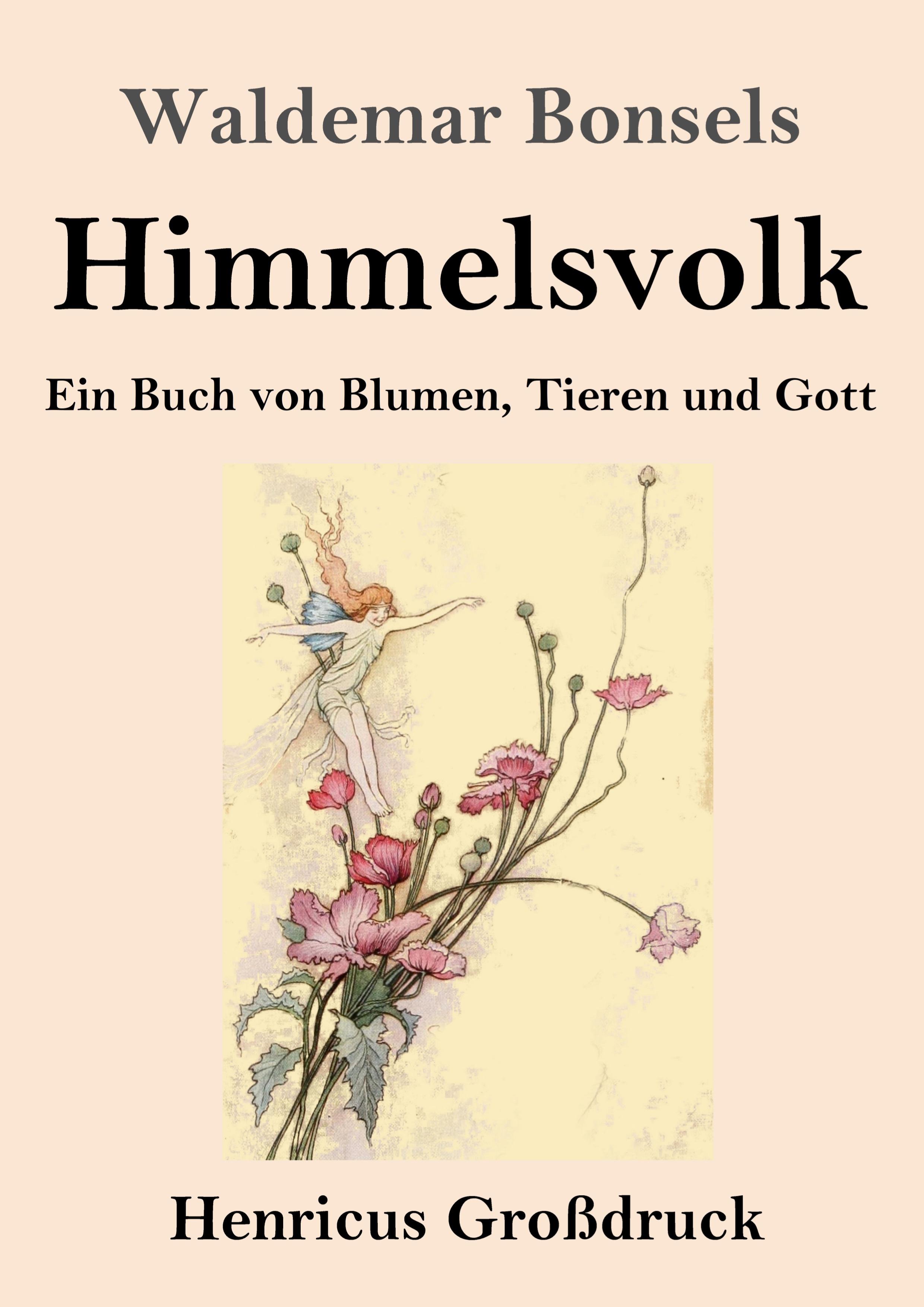 Himmelsvolk (Großdruck)