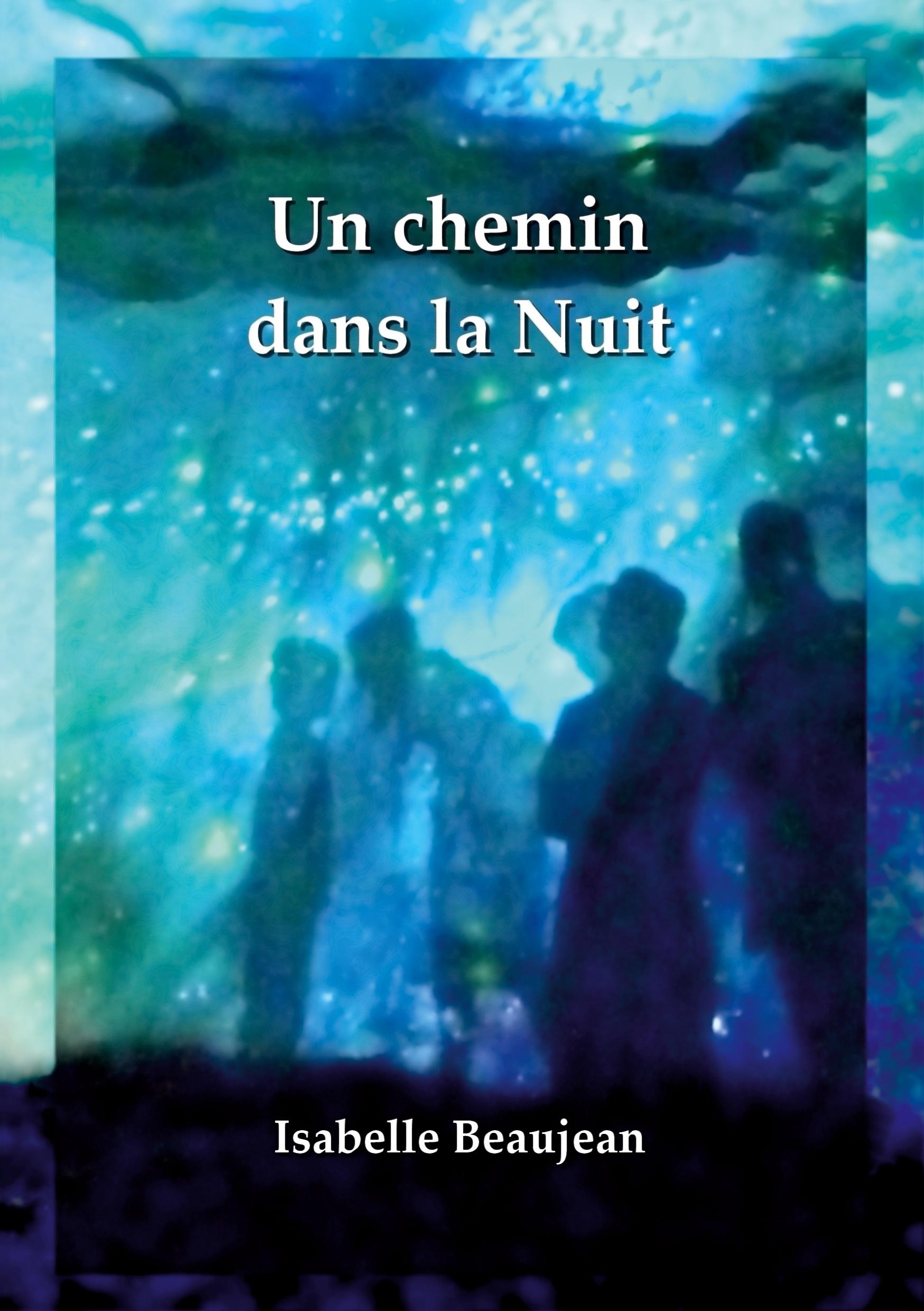 Un chemin dans la Nuit