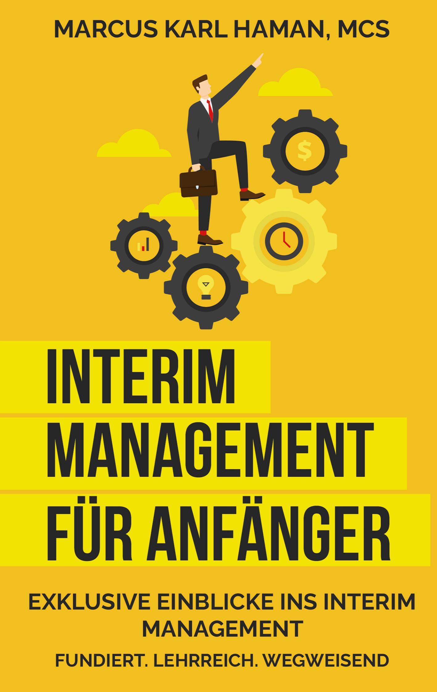 Interim Management für Anfänger