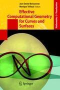 Effective Computational Geometry for Curves and Surfaces