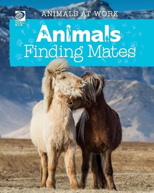 Animals Finding Mates