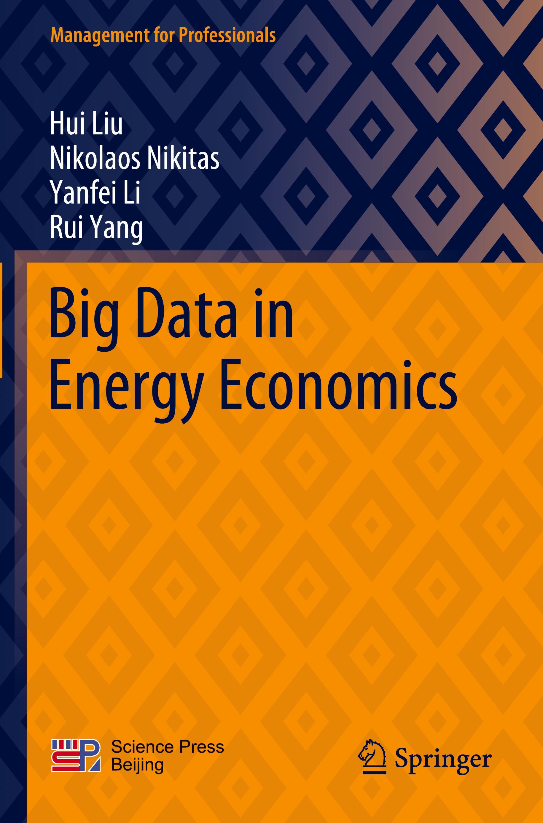 Big Data in Energy Economics